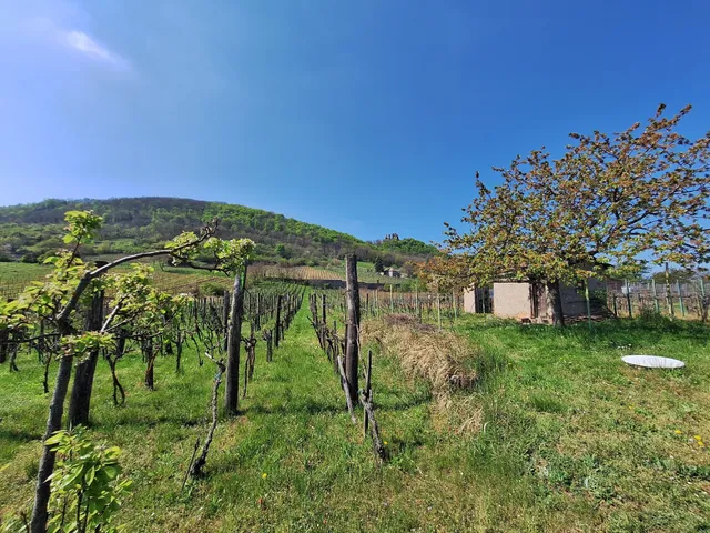 Eladó üdülő és hétvégi ház Doba 30 nm