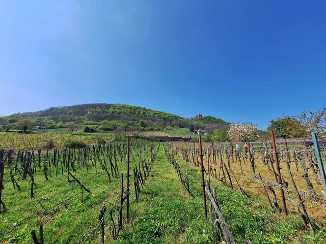 Eladó üdülő és hétvégi ház Doba 30 nm