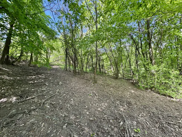 Eladó telek Bazsi 6215 nm