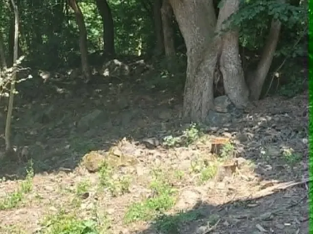 Eladó telek Zalaszántó 6101 nm
