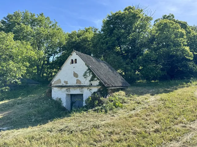 Eladó telek Bazsi 3189 nm