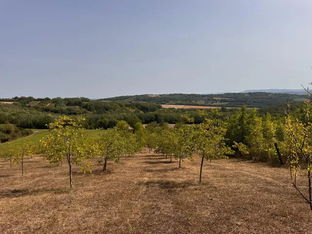 Eladó nyaraló Zalaszentgrót, Koppányi 60 nm
