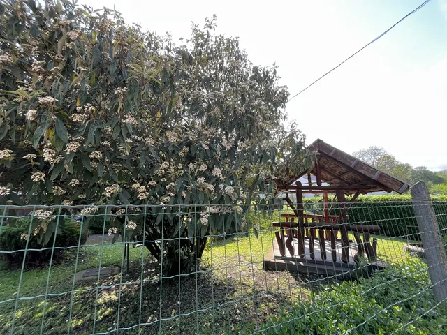 Eladó ház Szentendre 184 nm