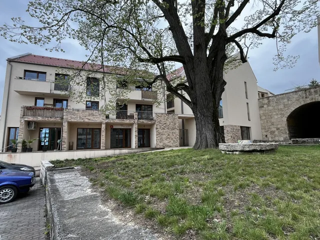 Kiadó kereskedelmi és ipari ingatlan Budakalász 41 nm