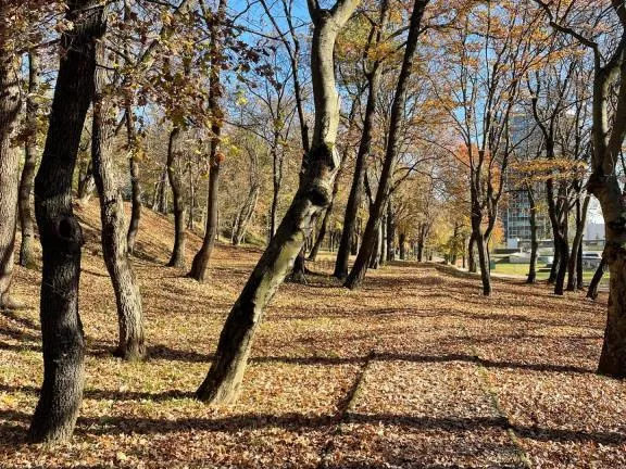 Eladó lakás Budapest II. kerület, Kurucles 110 nm