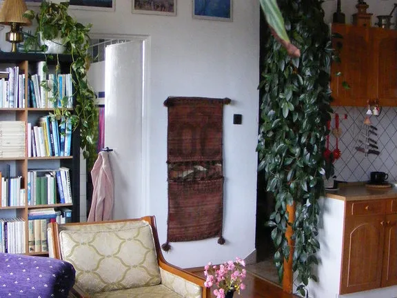 Eladó lakás Budapest II. kerület, Zöldmál 45 nm