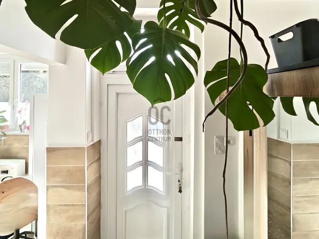 Eladó ház Budapest XV. kerület, Rákospalota 49 nm