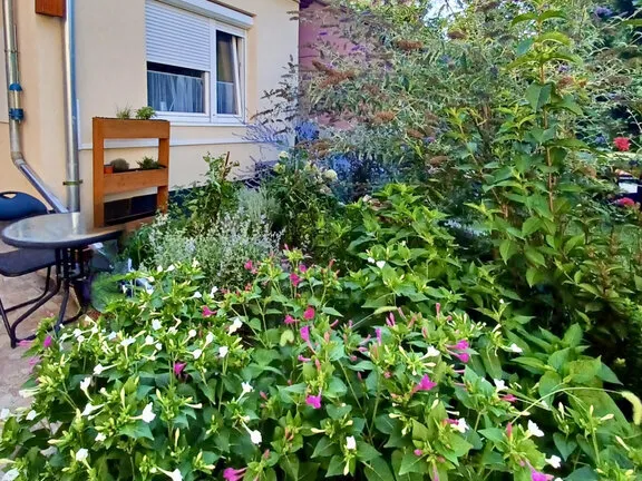 Eladó ház Budapest XV. kerület, Rákospalota 49 nm