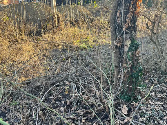 Eladó telek Budapest XI. kerület, Péterhegy 1746 nm