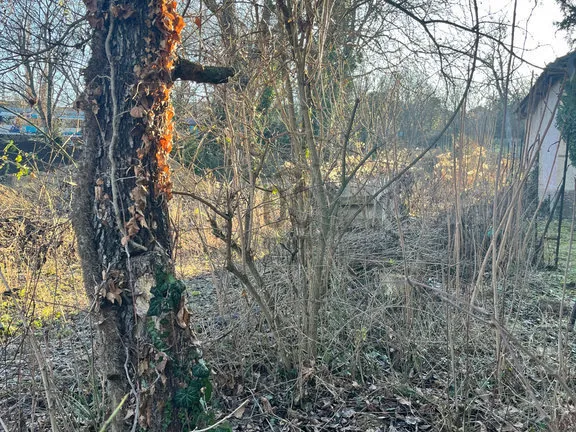 Eladó telek Budapest XI. kerület, Péterhegy 1746 nm