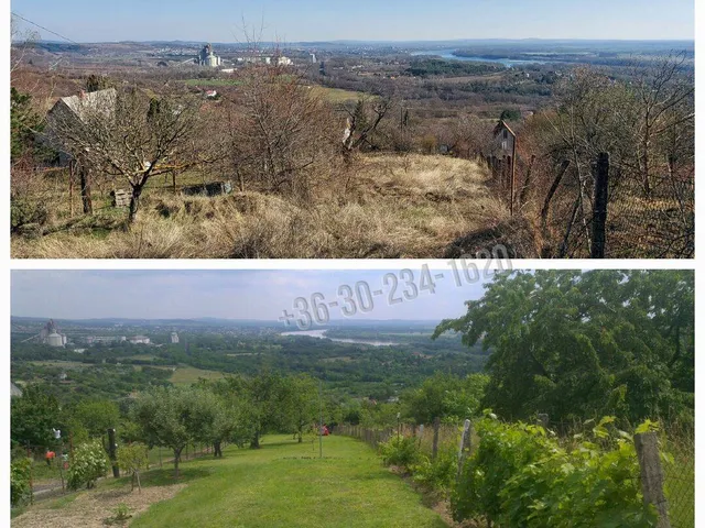 Eladó telek Vác, Nyulas 2363 nm