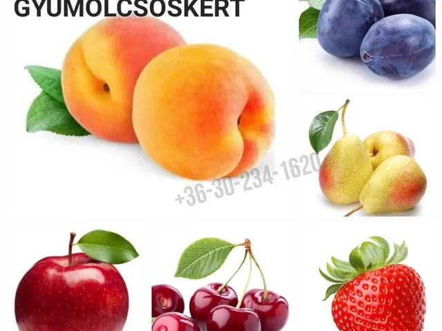 Eladó mezőgazdasági ingatlan Vác, Nyulas, Szőlőszem utca 18 nm