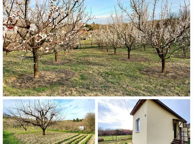 Eladó mezőgazdasági ingatlan Vác, Nyulas 18 nm