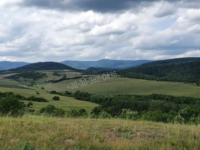 Eladó telek Szokolya 5300 nm