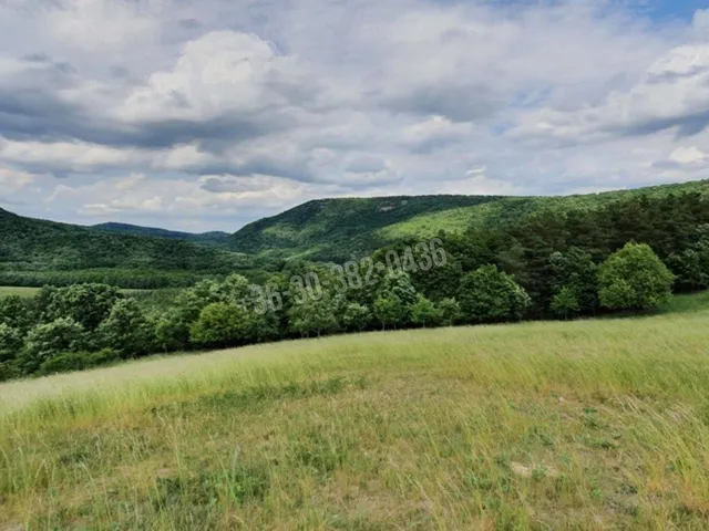 Eladó telek Szokolya 5300 nm