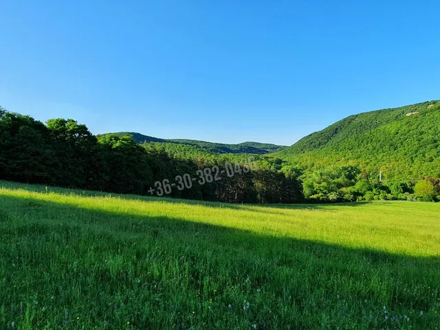 Eladó telek Szokolya 5300 nm