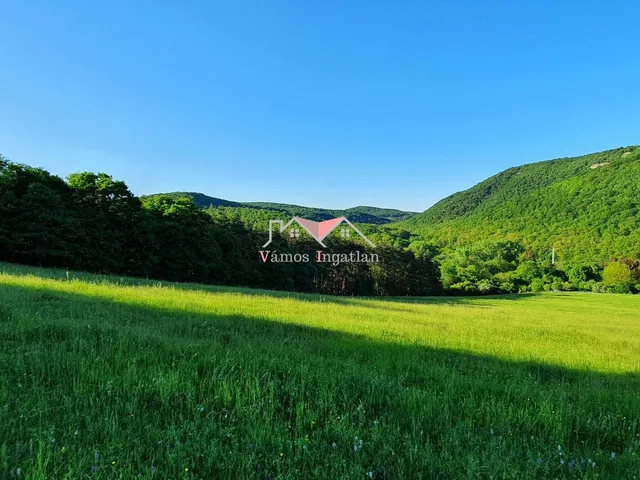 Eladó telek Szokolya 5300 nm