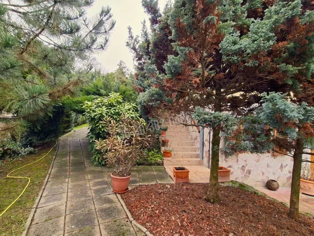 Eladó ház Verőce 245 nm