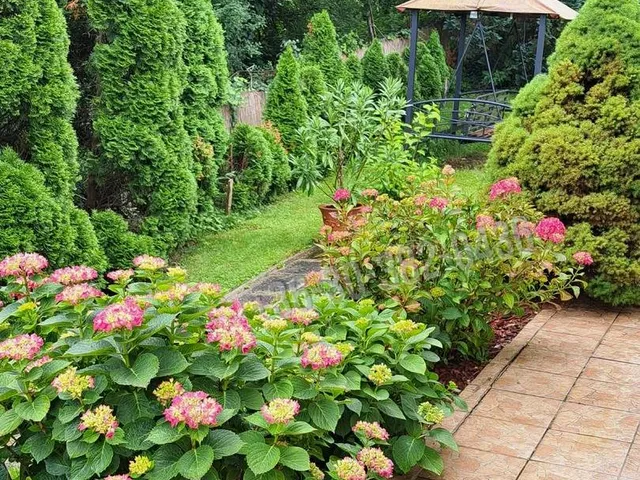 Eladó ház Verőce 245 nm