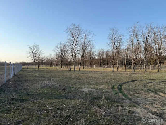 Eladó telek Hetényegyháza 5000 nm