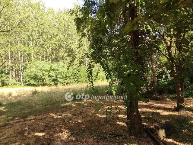 Eladó mezőgazdasági ingatlan Jászberény 74 nm