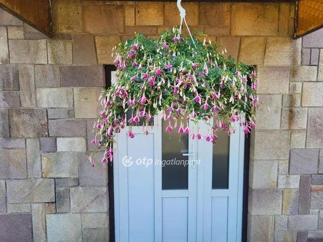 Eladó ház Pusztamonostor 203 nm