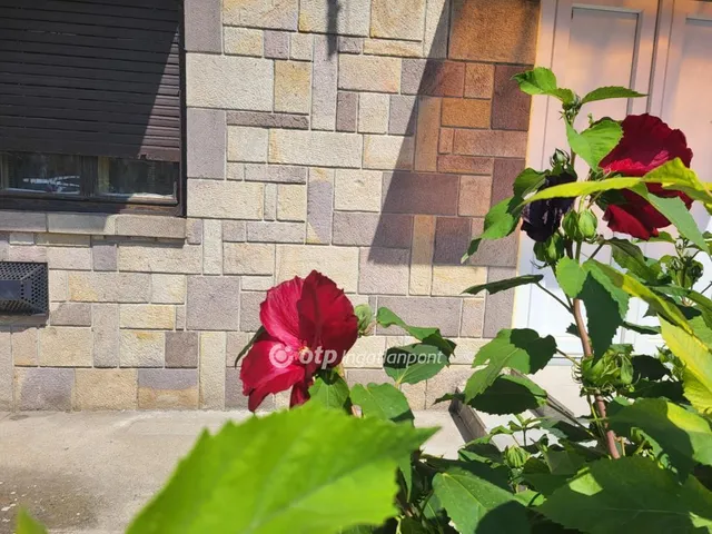 Eladó ház Pusztamonostor 203 nm