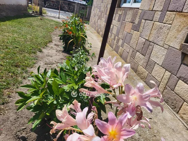 Eladó ház Pusztamonostor 203 nm