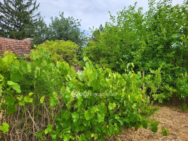 Eladó ház Pusztamonostor 56 nm