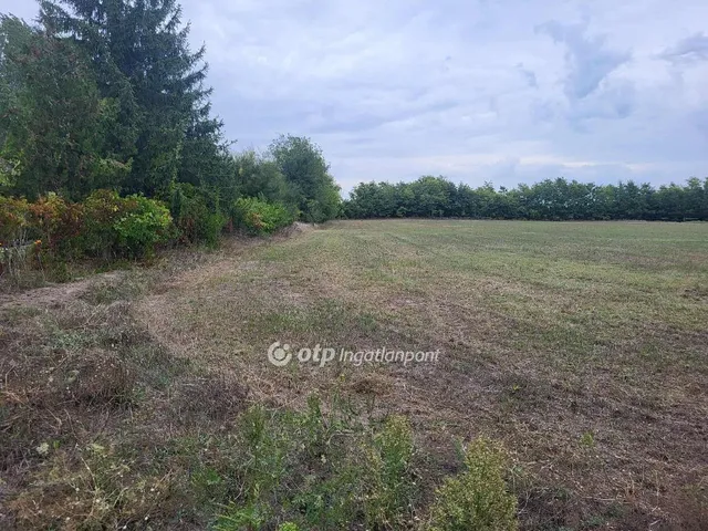 Eladó üdülő és hétvégi ház Szentmártonkáta 107 nm