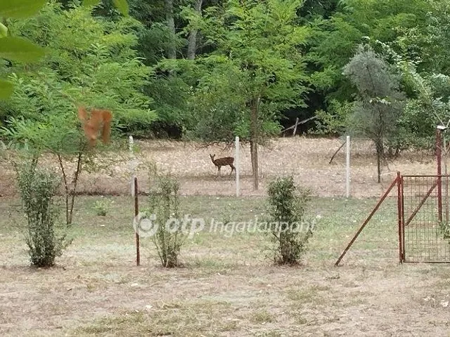 Eladó mezőgazdasági ingatlan Jászberény 80 nm