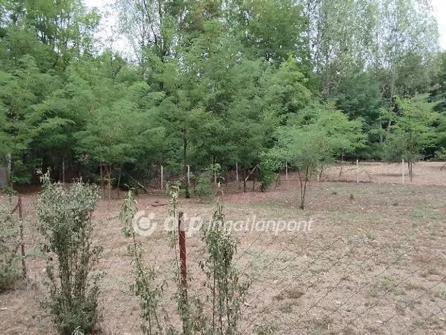 Eladó mezőgazdasági ingatlan Jászberény 80 nm