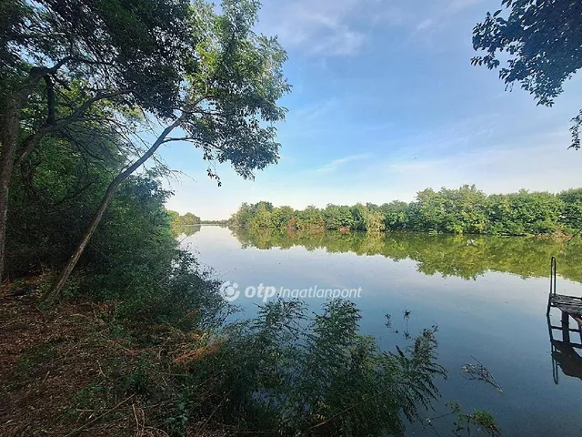 Eladó mezőgazdasági ingatlan Békésszentandrás 775 nm