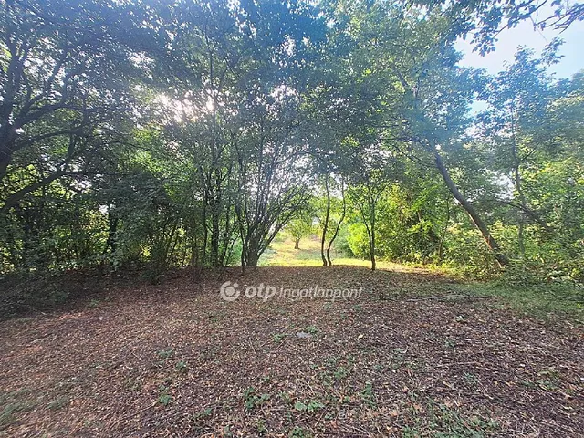 Eladó mezőgazdasági ingatlan Békésszentandrás 775 nm