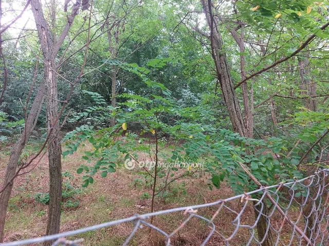 Eladó telek Gomba 3679 nm