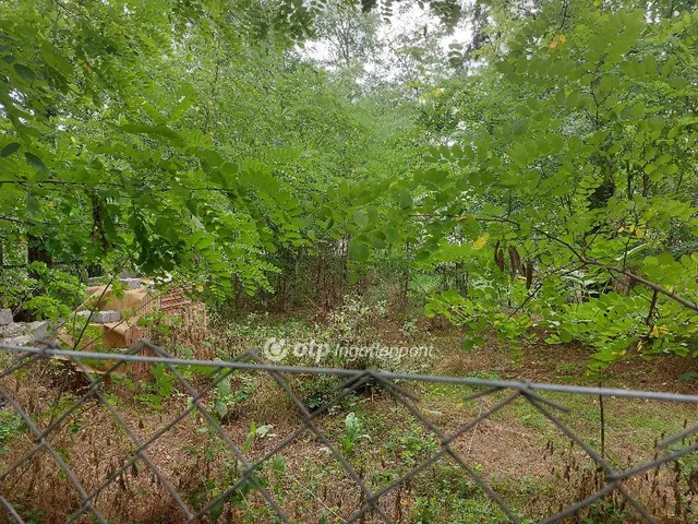 Eladó telek Gomba 3679 nm