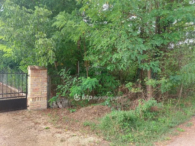 Eladó telek Gomba 3679 nm