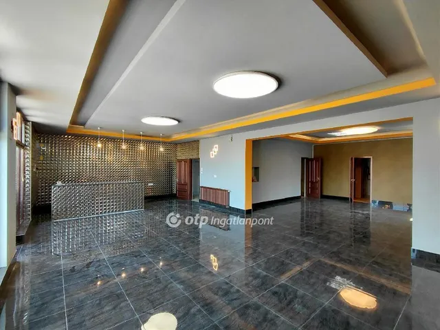 Eladó kereskedelmi és ipari ingatlan Dány 170 nm