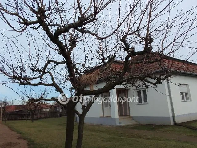 Eladó ház Jászszentandrás 75 nm