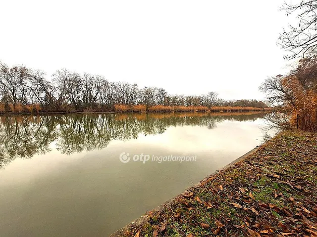 Eladó telek Békésszentandrás 1127 nm