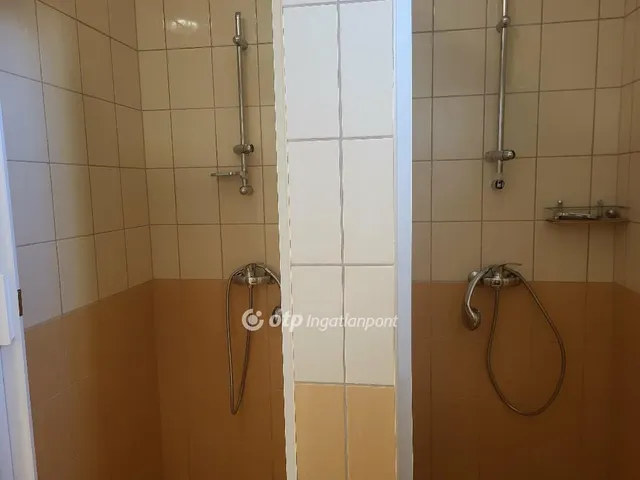 Eladó ház Boldog 155 nm