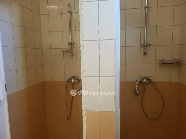 Eladó ház Boldog 155 nm