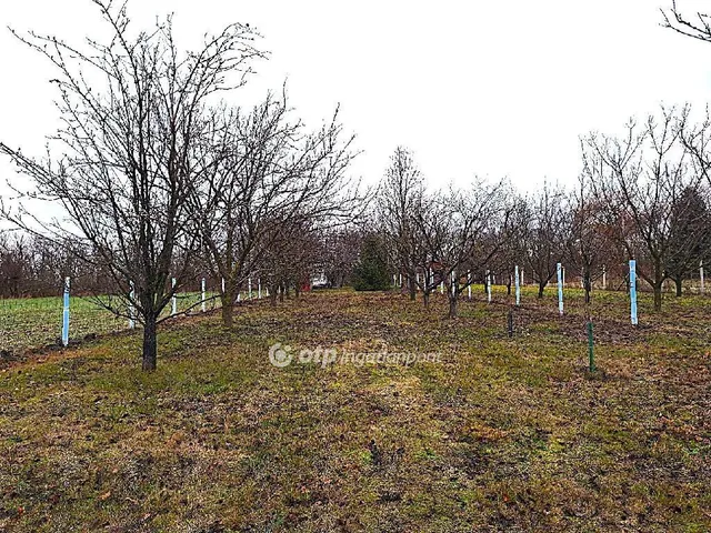 Eladó telek Békésszentandrás 1127 nm