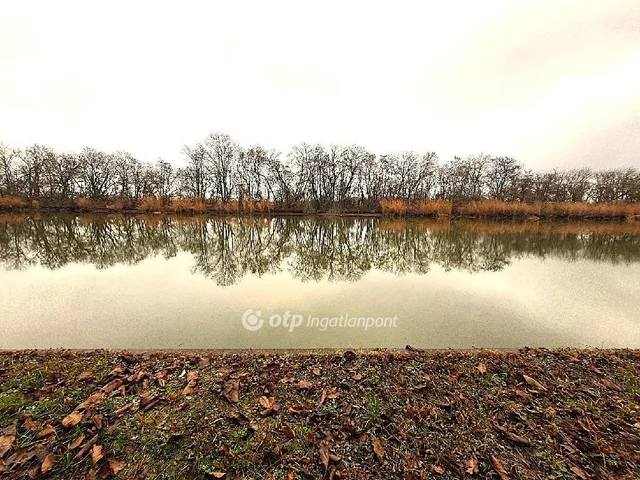Eladó telek Békésszentandrás 1127 nm