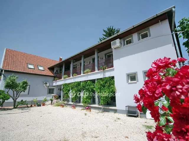 Eladó ház Gyula 320 nm