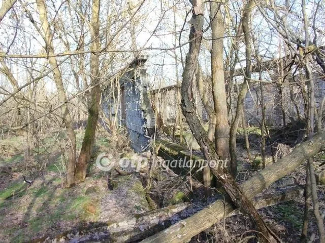 Eladó mezőgazdasági ingatlan Jászberény 5182 nm