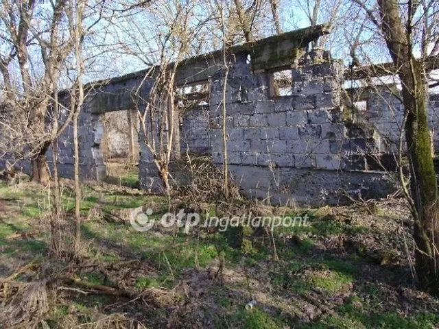 Eladó mezőgazdasági ingatlan Jászberény 5182 nm