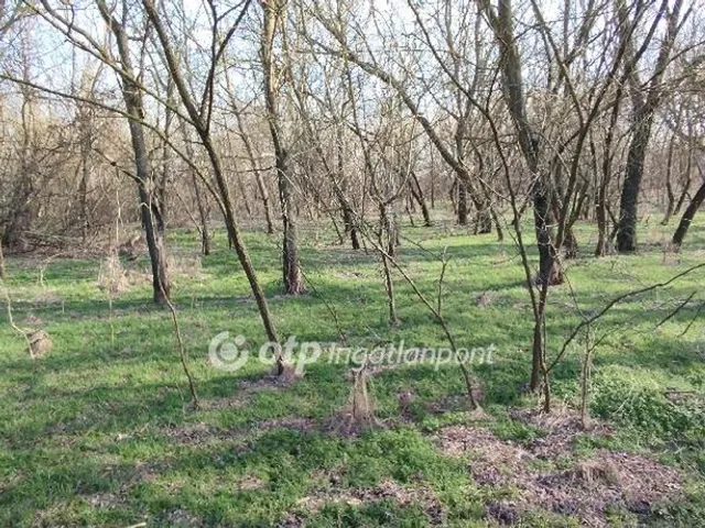 Eladó mezőgazdasági ingatlan Jászberény 5182 nm