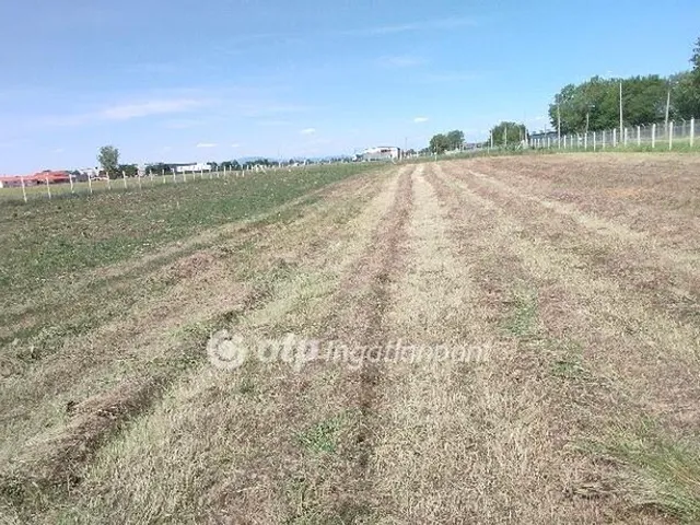 Eladó telek Jászberény 4000 nm