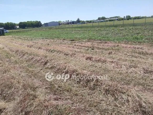 Eladó telek Jászberény 4000 nm
